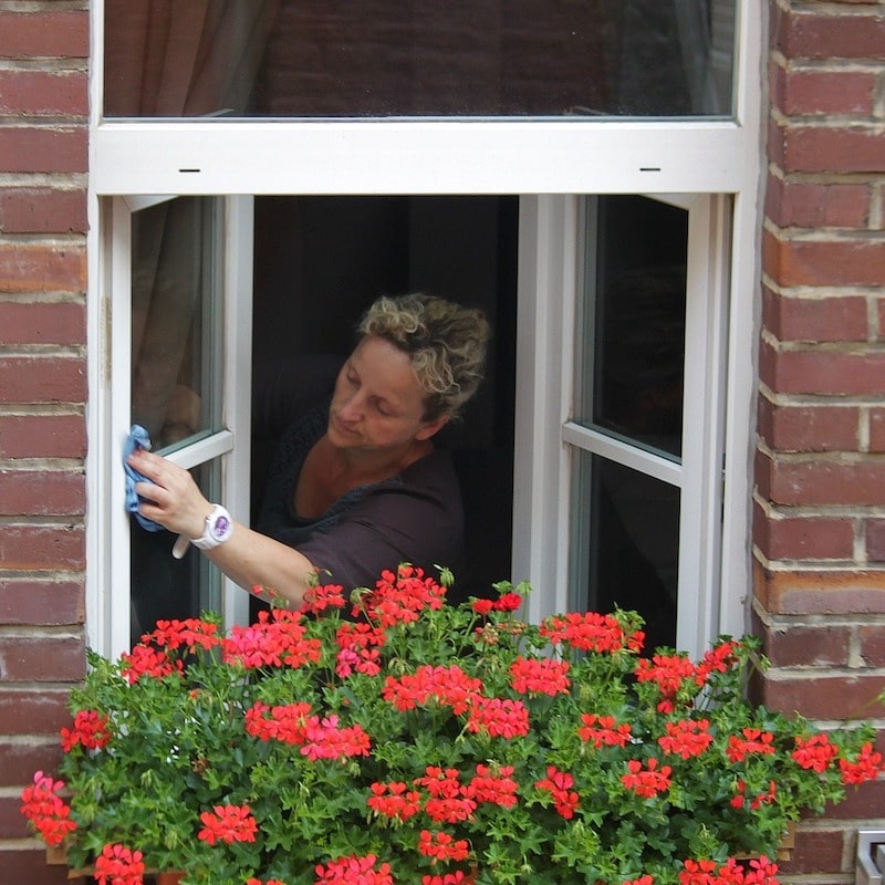 Fenster-Reinigung
